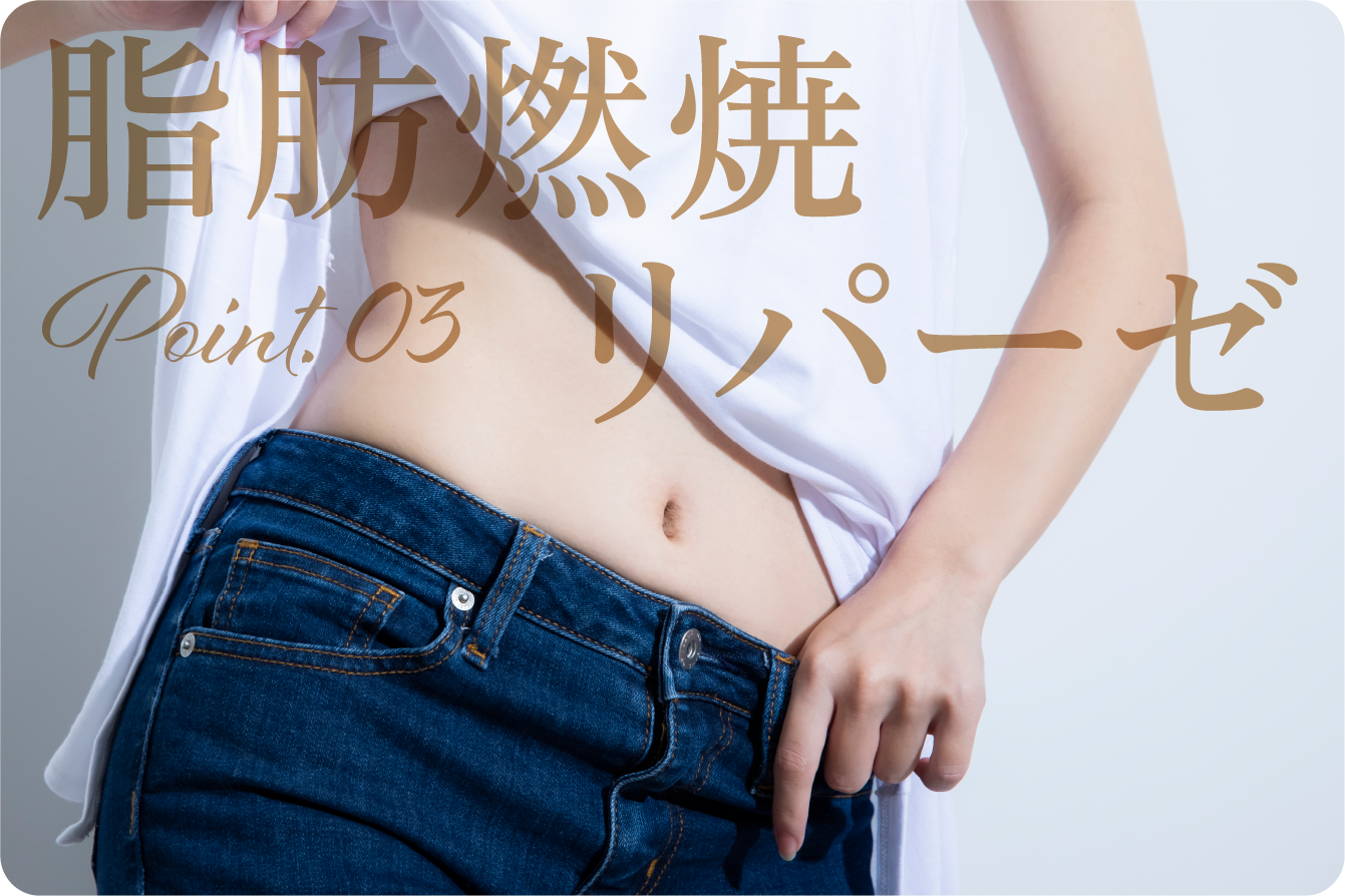脂肪燃焼リパーゼ