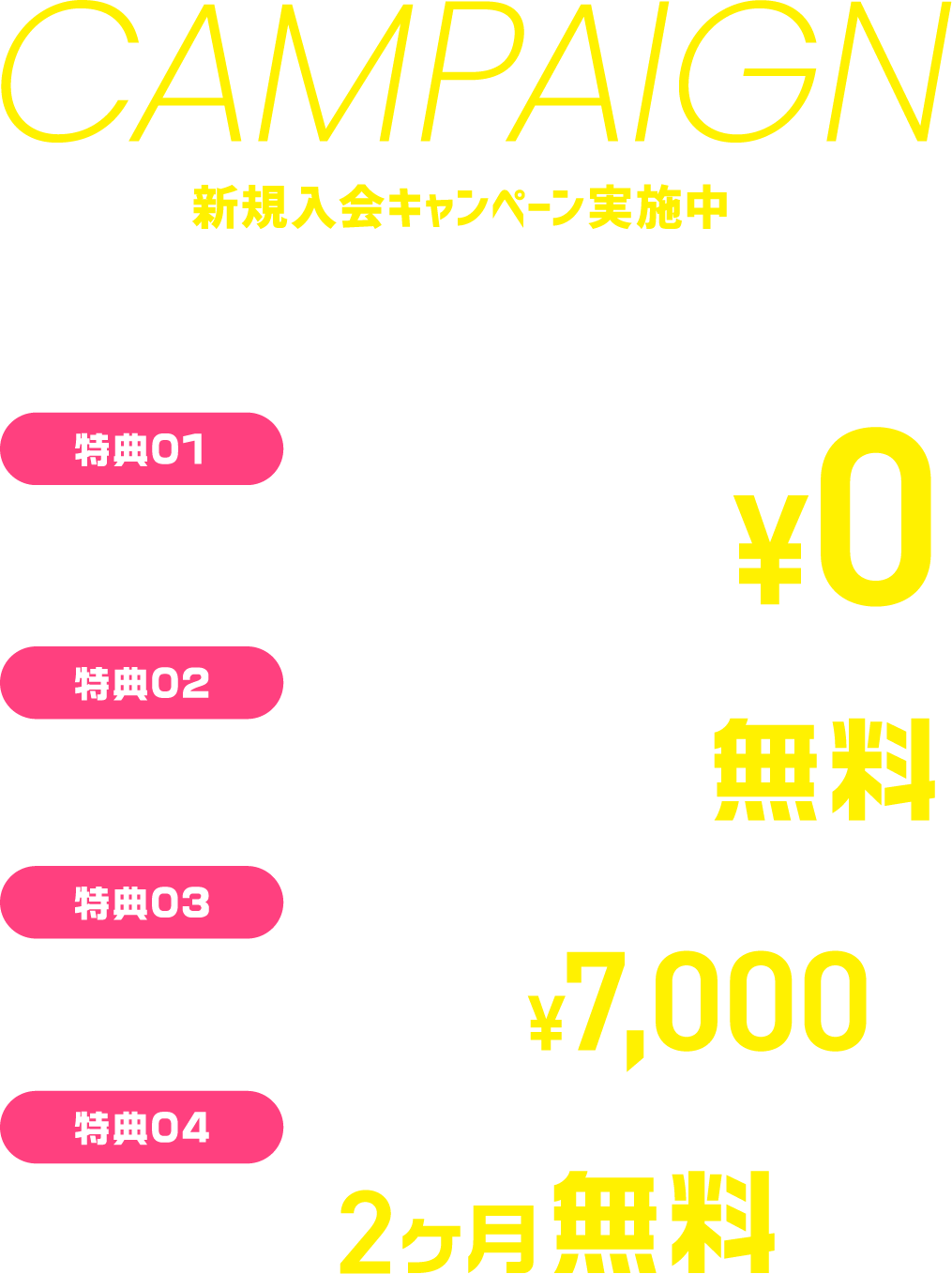 キャンペーン情報